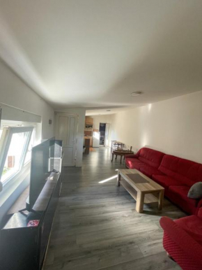 Vracar Apartment